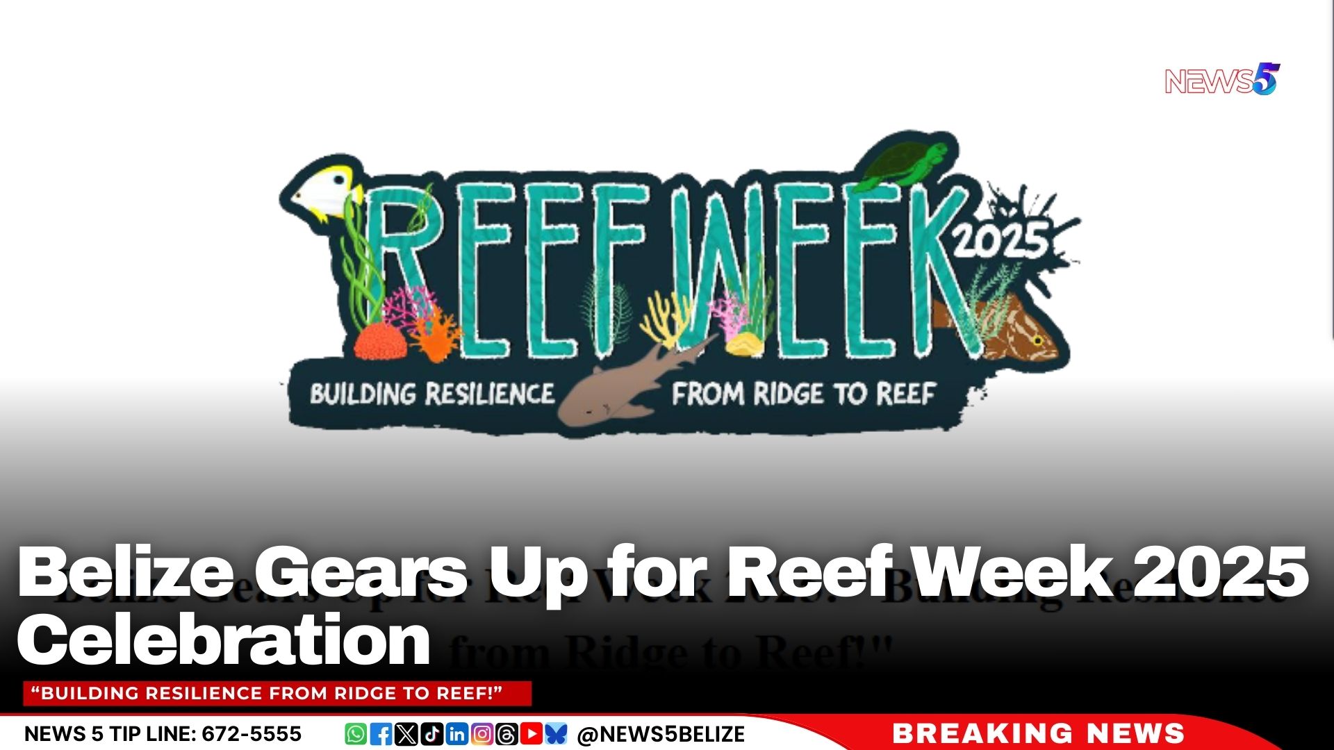 Belize Gears Up for Reef Week 2025 Celebration