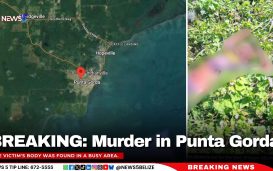 BREAKING: Murder in Punta Gorda