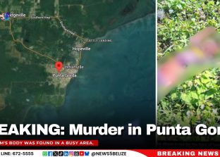 BREAKING: Murder in Punta Gorda
