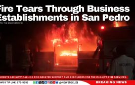Fire Tears Through Business Establishments in San Pedro
