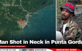 Man Shot in Neck in Punta Gorda