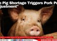 Live Pig Shortage Triggers Pork Price 