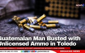 Guatemalan Man Busted with Unlicensed Ammo in Toledo