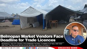 Belmopan Market Vendors Face April 15 Deadline for Individual Trade Licences