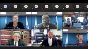 2025 Election Delays Progress on Maya Land Consult Order