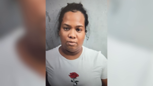 One Woman Stabbed in Park, Several Detained