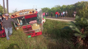 Minister of Transport Addresses Concerns on Public Buses