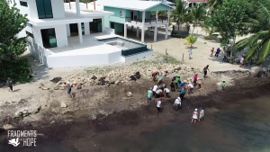Placencia Beach Erosion Threatens Belize’s Beloved Tourist Spot