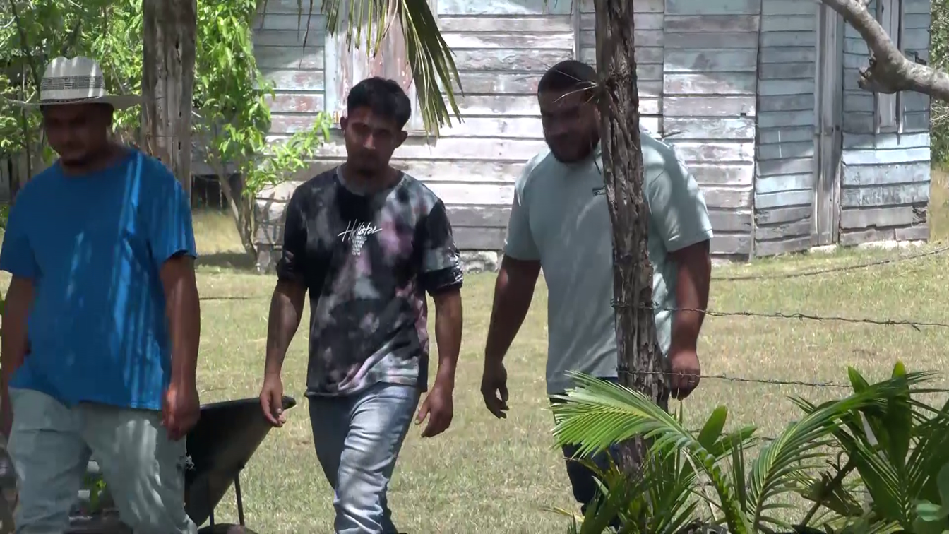 Meet Juan Carillo, Belize’s 2025 Junior Farmer of the Year