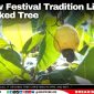 Cashew Festival Tradition Lives On in Crooked Tree