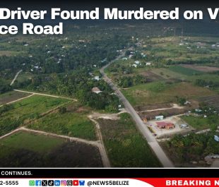 Truck Driver Found Murdered on Valley of Peace Road