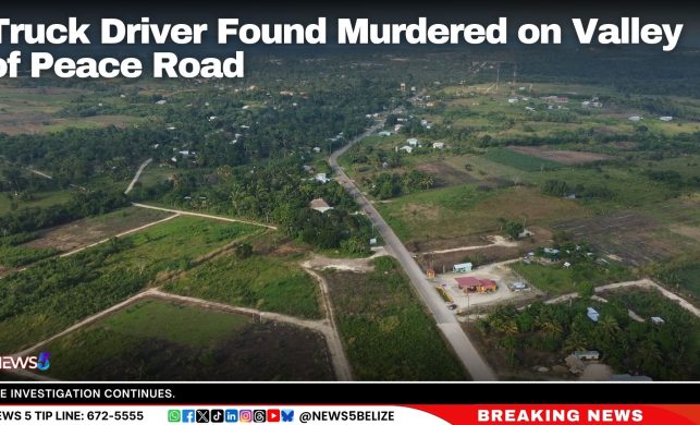 Truck Driver Found Murdered on Valley of Peace Road
