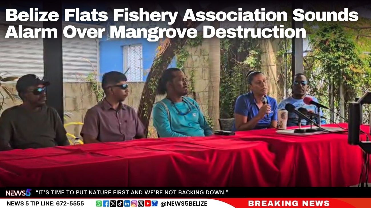 Belize Flats Fishery Association Sounds Alarm Over Mangrove Destruction
