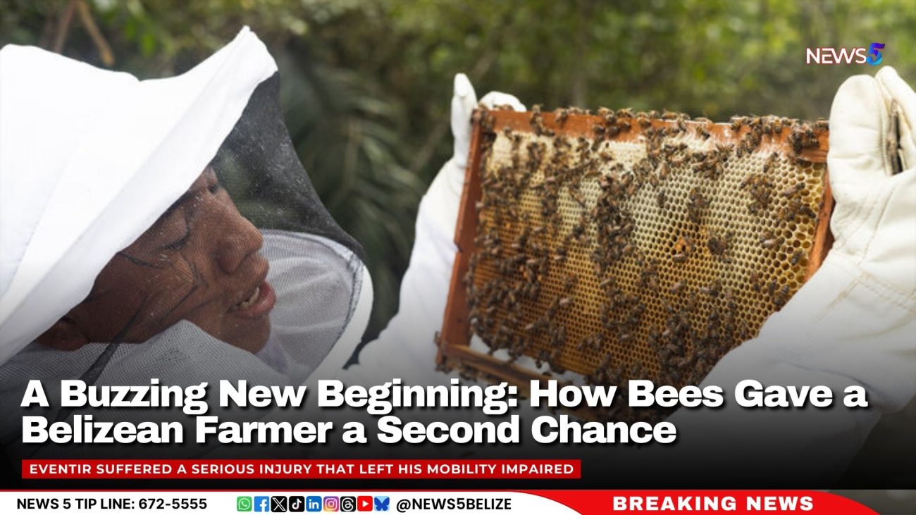 A Buzzing New Beginning: How Bees Gave a Belizean Farmer a Second Chance