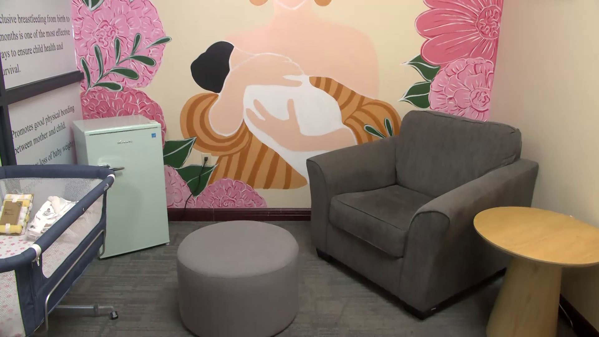 Belize Embraces Inclusivity with New Lactation Centers 