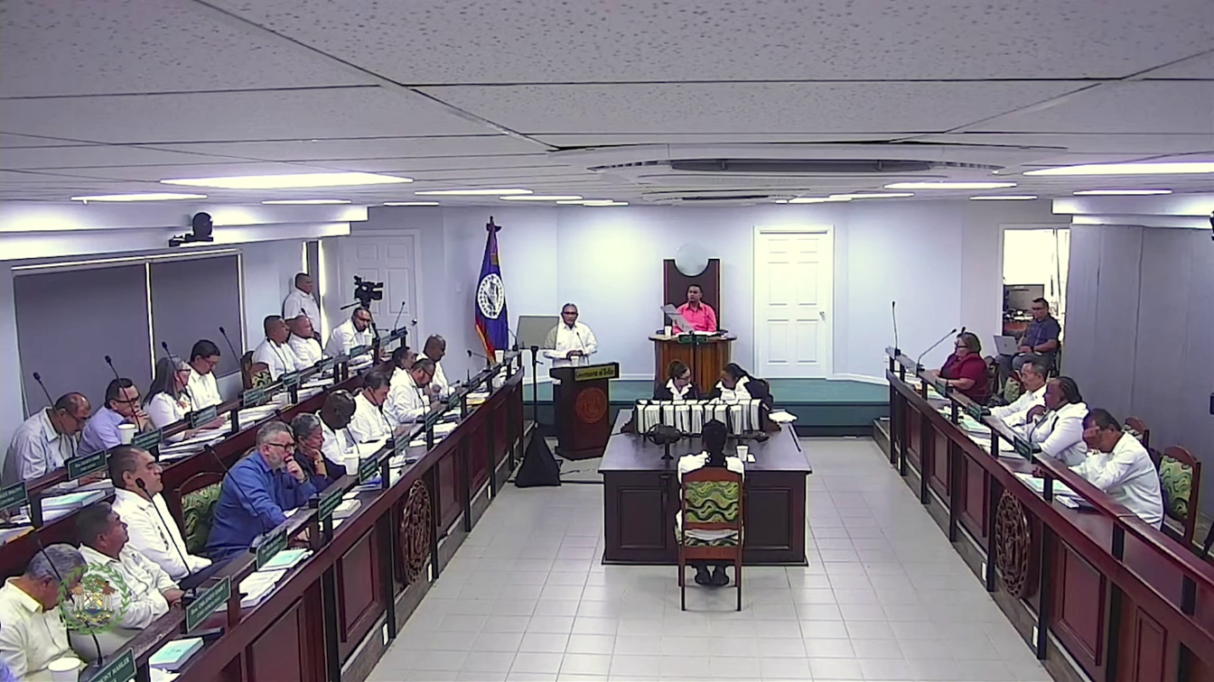Too Much on Salaries? Economist Warns Belize’s Budget Is Off Balance